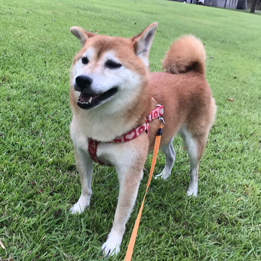 Atsuのプロフィール画像