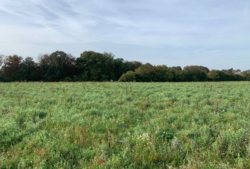  Vente Terrain à bâtir - 200m² à Ottange (57840) 