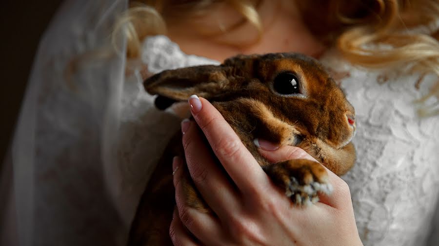 Fotógrafo de casamento Evgeniy Bugaev (bugaev). Foto de 6 de dezembro 2020