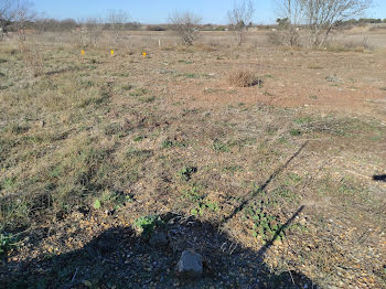 terrain à Serignan (34)