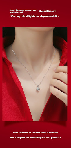 Title 1, Zilveren ketting met Moissanite Bloom hanger vo...