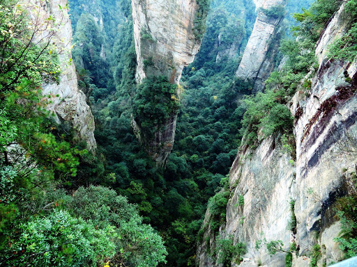 Avatar Park China 2016