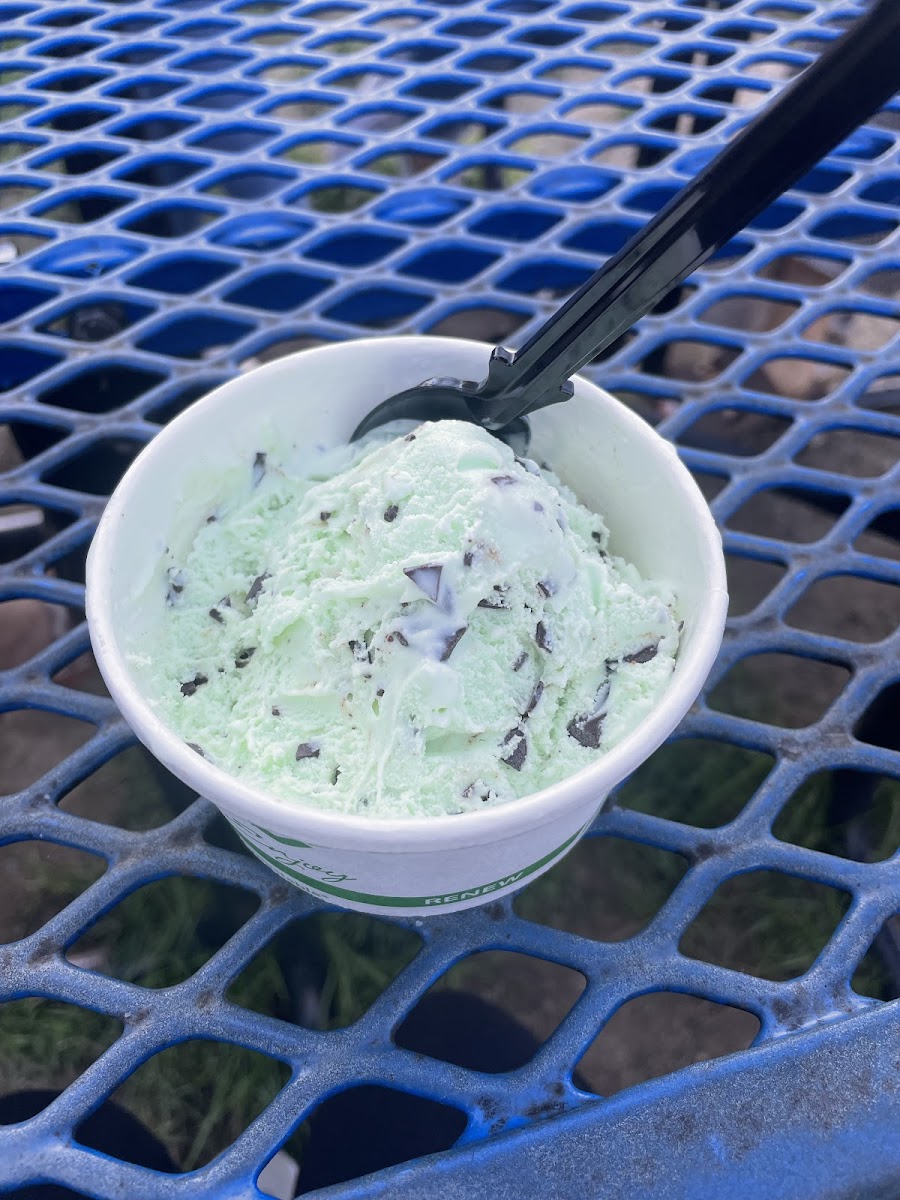 Gluten-Free at UConn Dairy Bar