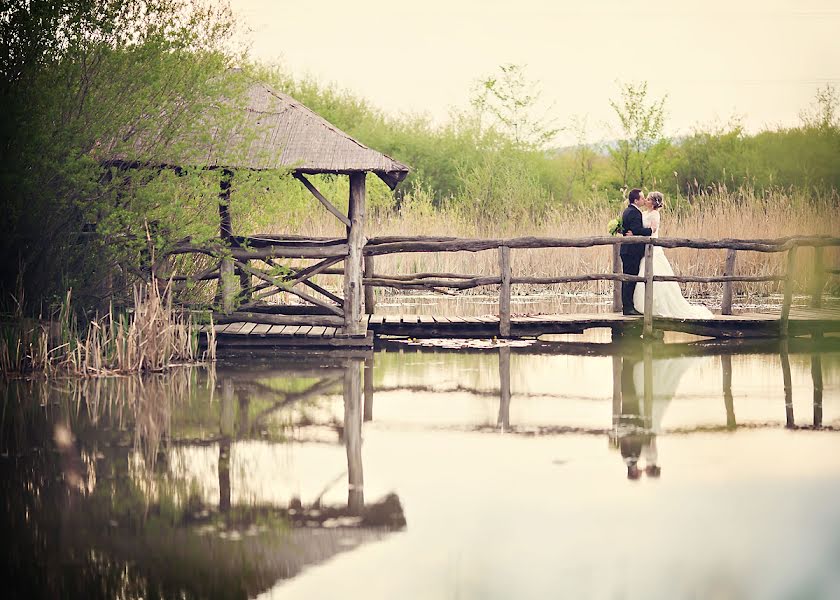 Wedding photographer Vit Nemcak (nemcak). Photo of 7 April 2017