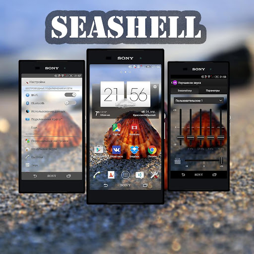 Theme EXPERIENCE Seashell-Full