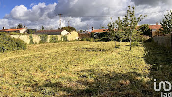 terrain à Luçon (85)