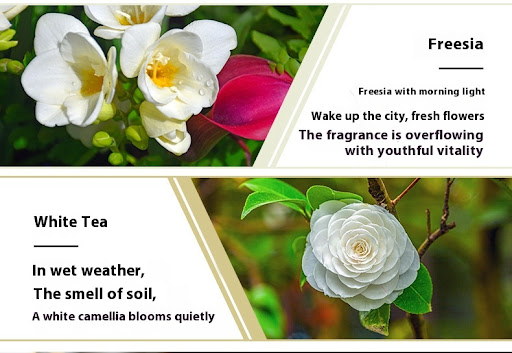 Title 4, Water-soluble Soothing Sleep Aromatherapy Oil R...