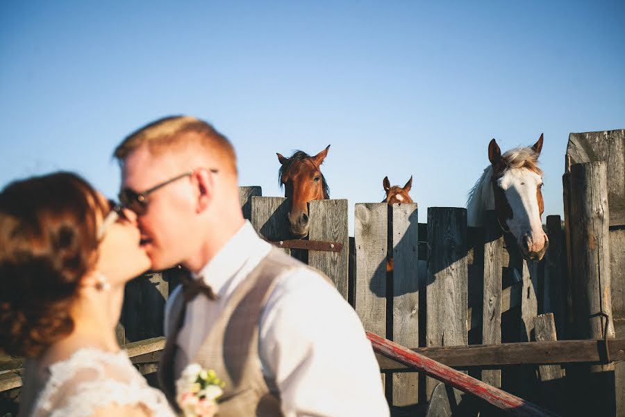 Photographe de mariage Aleksandr Zubkov (aleksanderzubkov). Photo du 5 décembre 2017