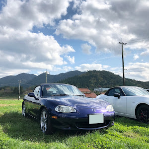 ロードスター NB8C