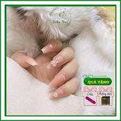 Bộ Nail Giả Xinh Đáng Yêu Sang Choảnh Siêu Cute Cho Móng Tay Dài Ngắn Suleenail Kiểu Thang