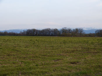 terrain à Uzein (64)