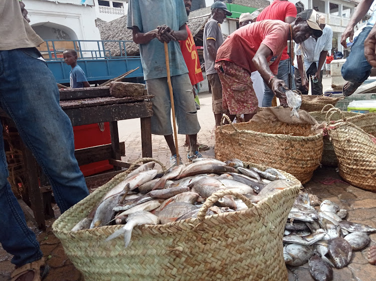 A basket full of fish in Lamu island.