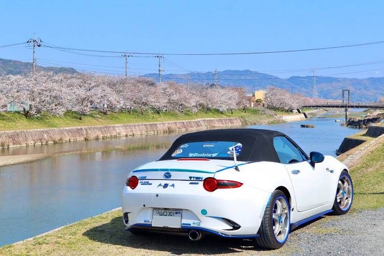 ロードスターのまたまた桜とコラボ・two-k・ねこさん達おやすみ！・コロナウイルスに負けるなに関するカスタム事例の投稿画像6枚目
