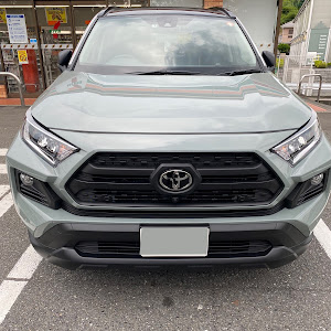 RAV4 MXAA54