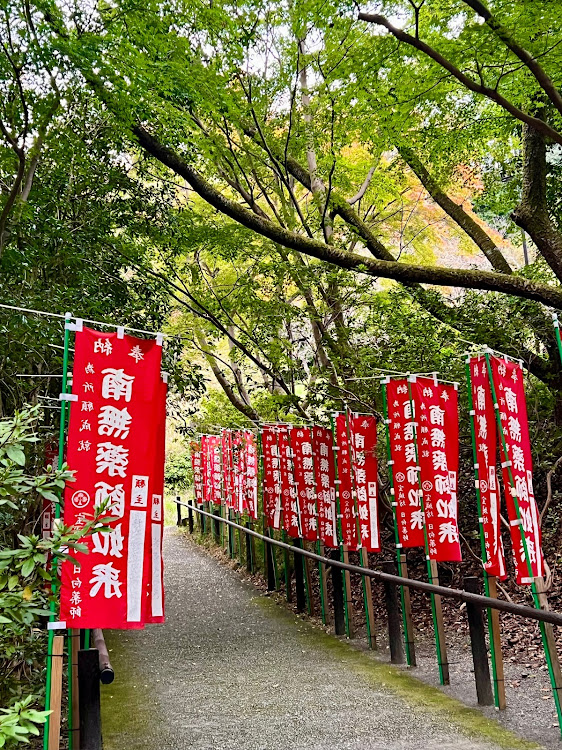 ロードスターの日向薬師・日向渓谷・紅葉はまだ早かったに関するカスタム事例の投稿画像4枚目