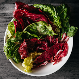 Mixed-Leaf Salad, Terzini Dressing