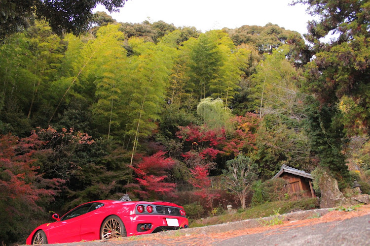 360モデナの紅葉ドライブ・紅葉と愛車・打ち止めに関するカスタム事例の投稿画像7枚目
