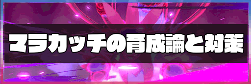 マラカッチの育成論と対策