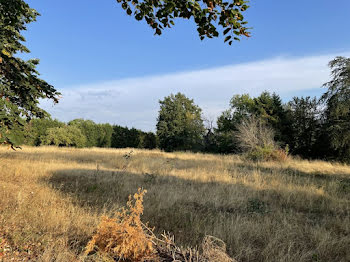 maison neuve à Mazamet (81)