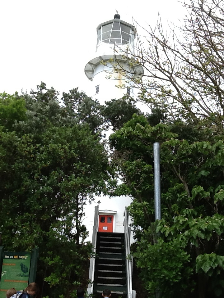 Lighthouse obscured.jpg