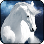 Cover Image of Download Horse Wallpaper 1.09 APK