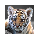 Baby Animals New Tab Chrome extension download