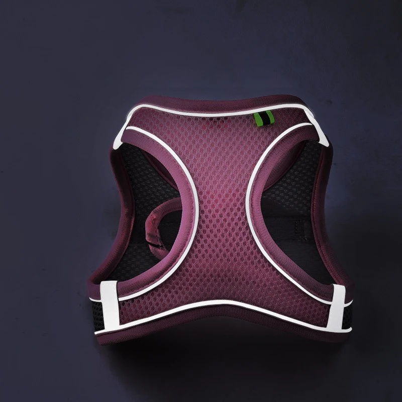 Reflecterend Hondentuig Vest met Leash Veiligheid en Zichtbaarheid tijdens Nachtwandelingen Verstelbaar en Comfortabel voor Jouw Hond