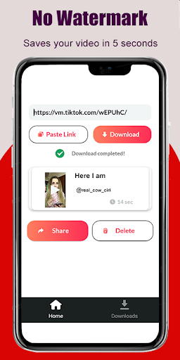 TikTok Downloader - SSSTIK