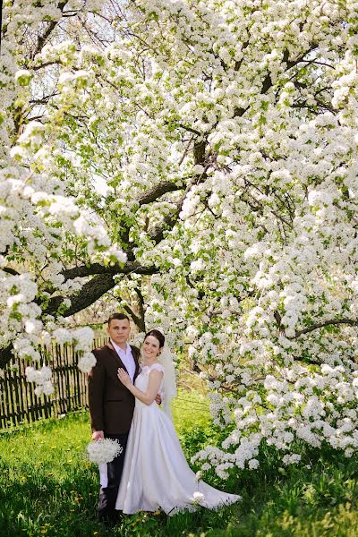 Fotógrafo de casamento Violetta Careva (carevaviola). Foto de 19 de maio 2017