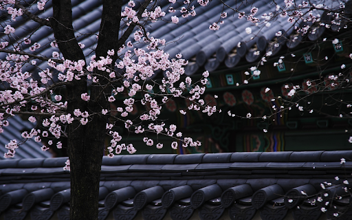 Flowers bloom on the roof screenshot 1