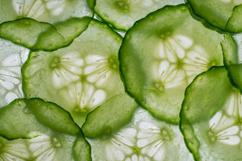 https://www.maxpixel.net/static/photo/1x/Cucumber-Slices-Cucumber-Sandwich-Cucumbers-4672244.jpg