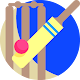 Download Hindi Cricket For PC Windows and Mac 2.7.6