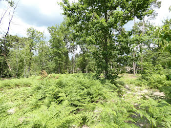 terrain à Marsac-sur-l'Isle (24)