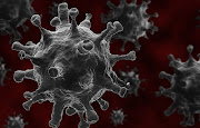 A new trial will study if people who've already had Covid-19 can catch the virus again. Stock image.