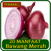 20 Manfaat Bawang Merah 1.0 Icon