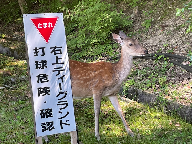 の投稿画像5枚目