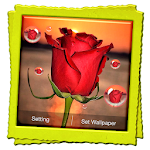 Cover Image of Download 3D Rose Live Wallpaper 4.1 APK