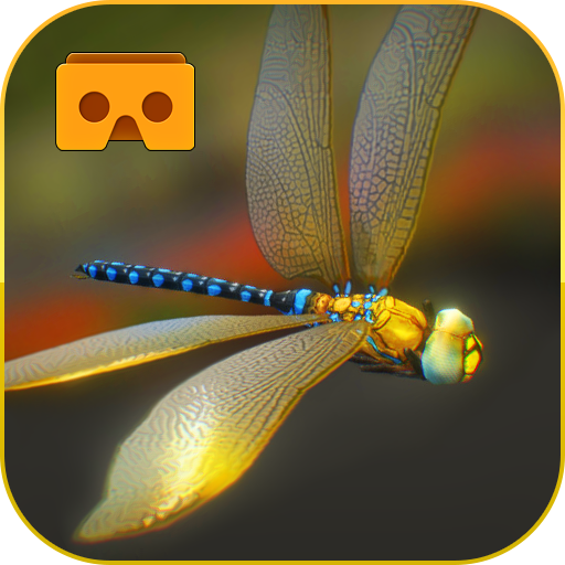 Dragon Fly VR First Flight
