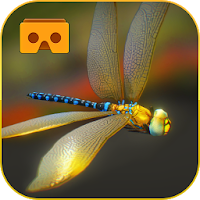 Dragon Fly VR First Flight