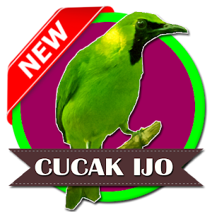 Download Mp3 Masteran Cucak Ijo For PC Windows and Mac