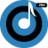 RX100 Player PRO - Music Player1.0 (Paid)