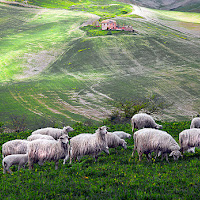 Bella la campagna di 