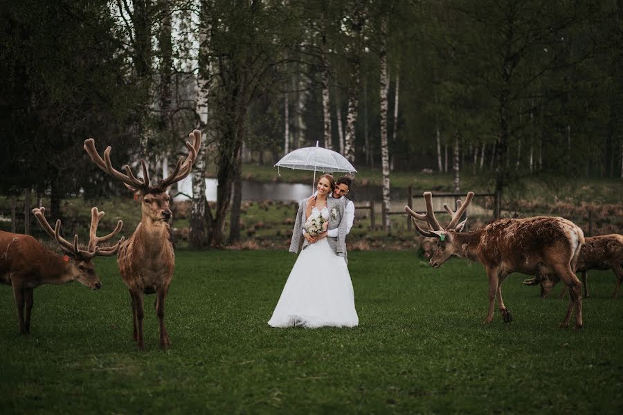 Fotografo di matrimoni Elīna Plūmīte (plumite). Foto del 3 novembre 2021