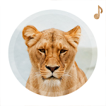 Animal Sounds Apk