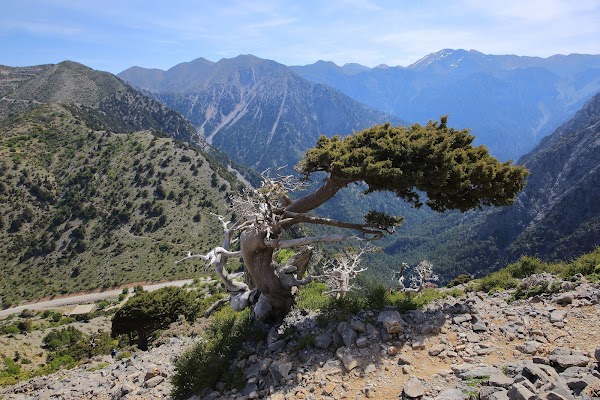 Urcarea spre Gigilos