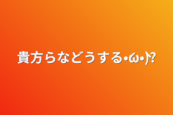 貴方らなどうする•́ω•̀)?