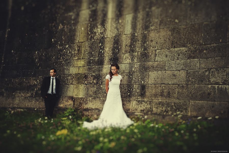 Wedding photographer Andrey Medvedyuk (medvediuk). Photo of 17 May 2014