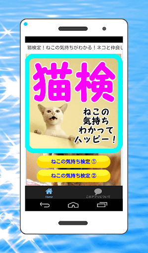 猫の気持ち検定！