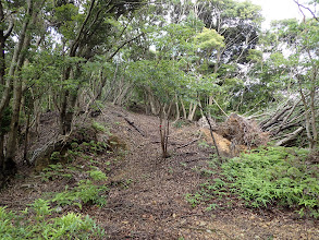 尾根道となる