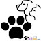 Item logo image for PetsTab: Cute Animal New Tab Theme For Chrome